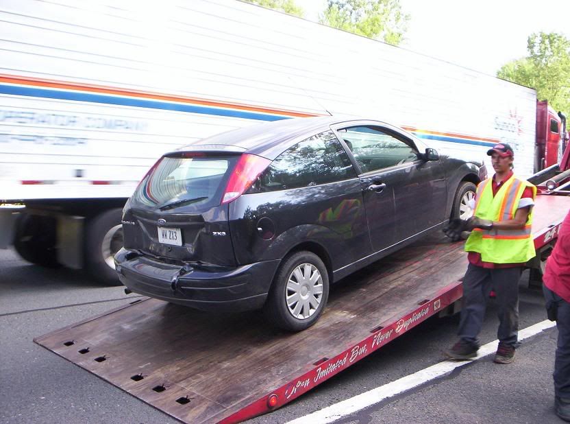 [Image: FocusCarnage1.jpg]