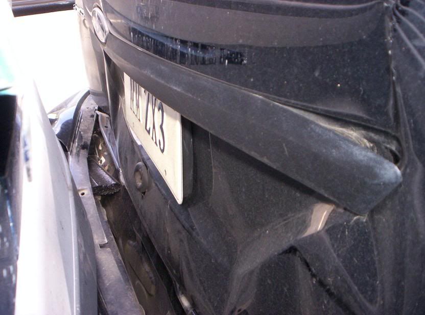 [Image: FocusCarnage4.jpg]