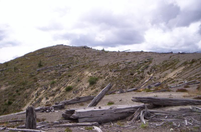 [Image: 100_0543.jpg]