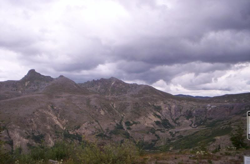 [Image: 100_0579.jpg]