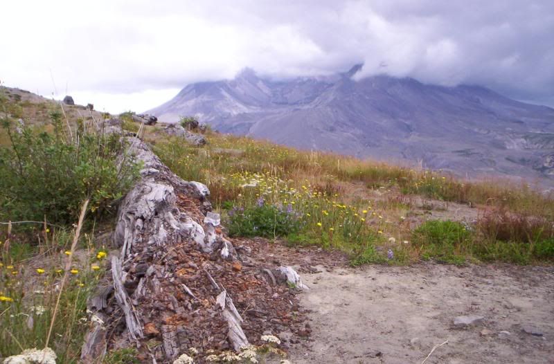 [Image: 100_0588.jpg]