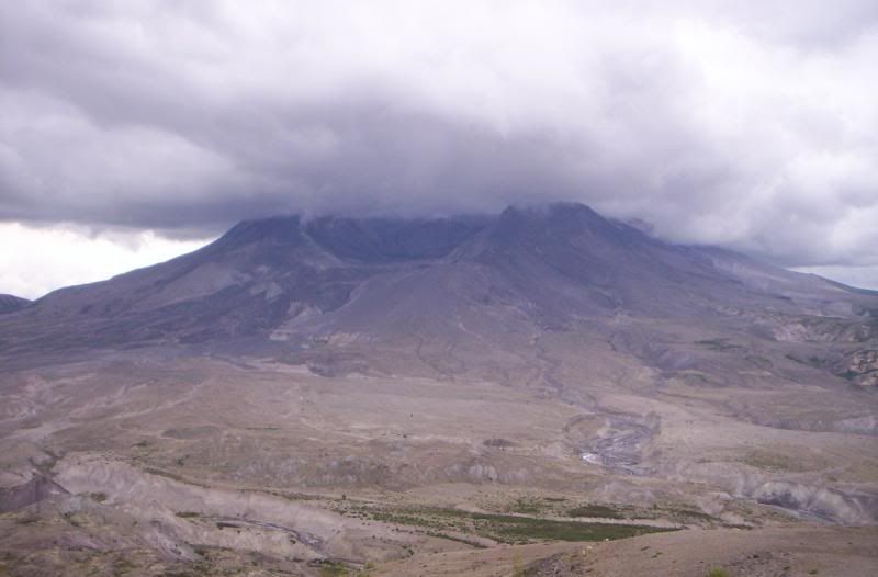 [Image: 100_0591.jpg]