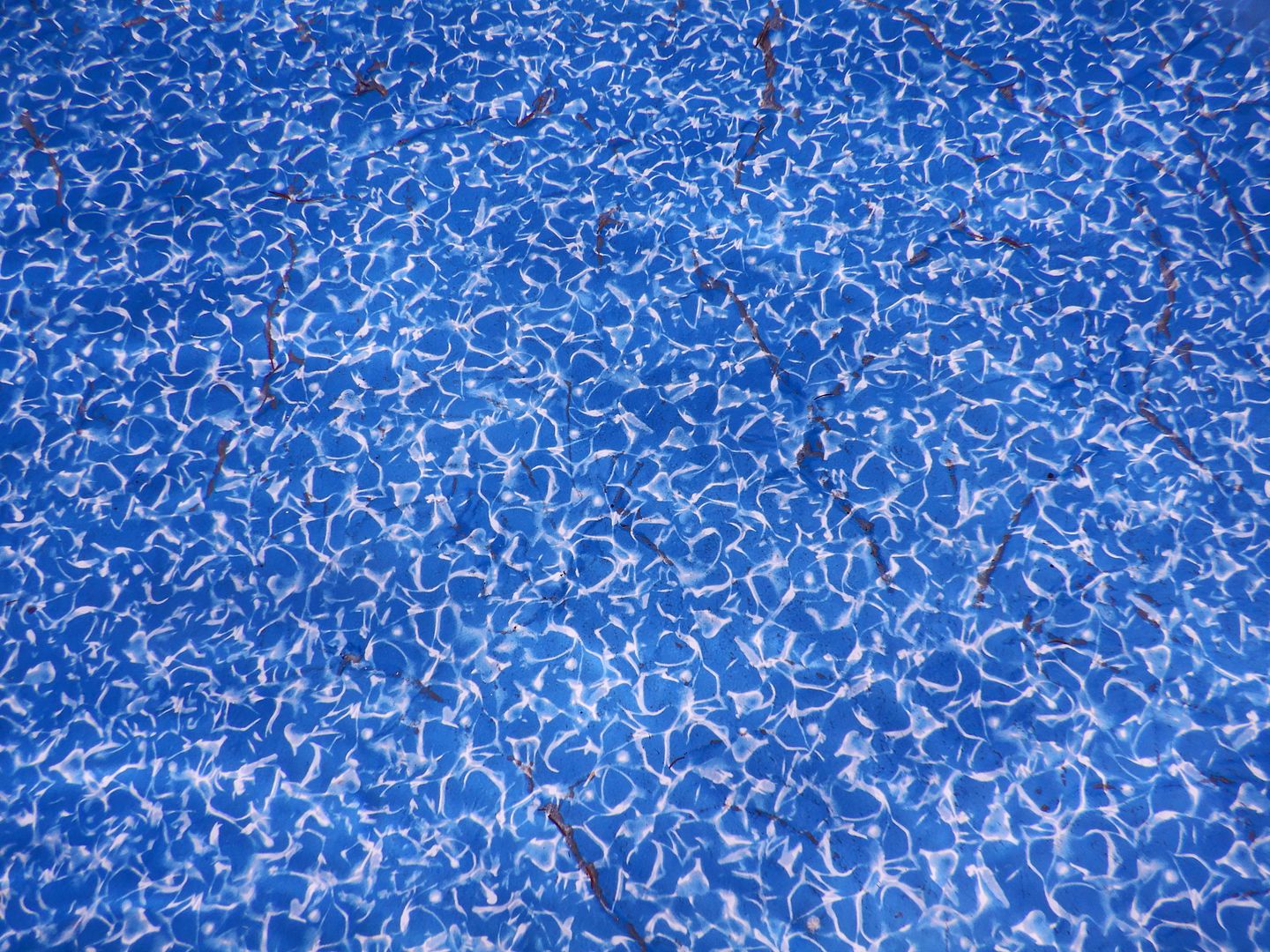 DSCN8483_zpsm1vqhoro.jpg