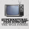 SPN Strike sign