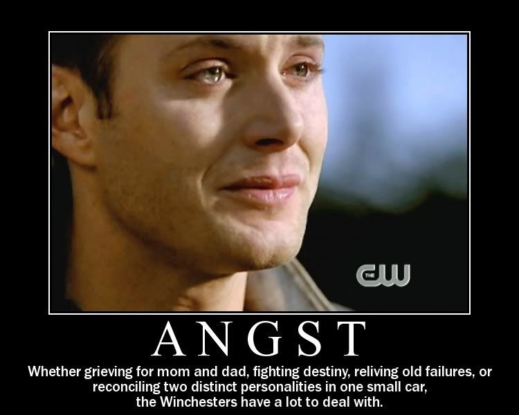 Definitely borrowed from the lovely author at : http://i58.photobucket.com/albums/g274/Bright_Eyes_513ILR/Angst-Dahne.jpg