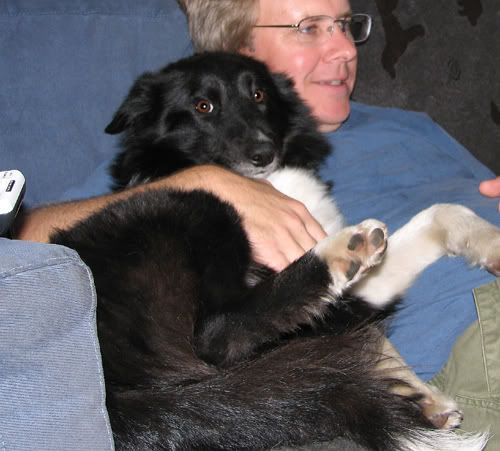 jet_cuddle.jpg