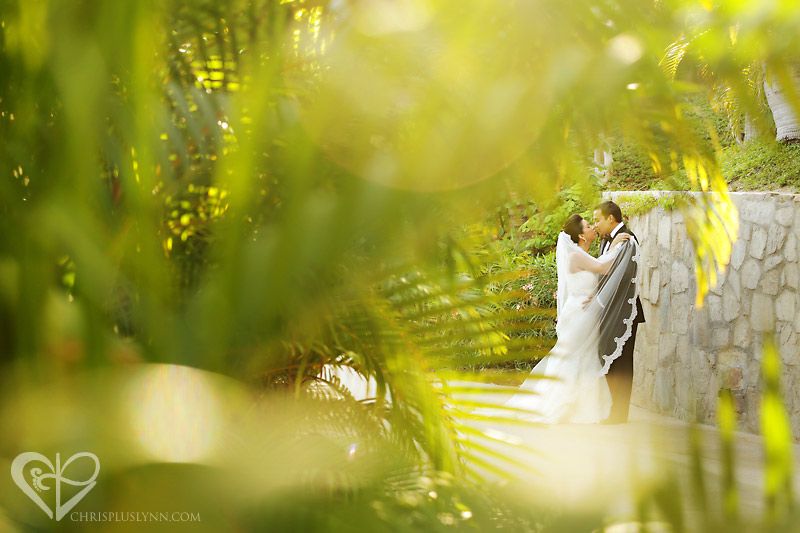  photo One-and-Only-Palmilla-wedding-chris-plus-lynn-01_zps709579ce.jpg