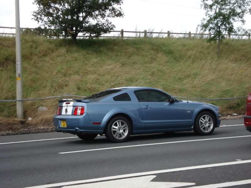 [img width=800 height=600]http://i58.photobucket.com/albums/g275/rs-1600i/DSC09971.jpg[/img]