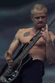 flea1.jpg