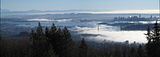 lions gate bridge, vancouver, bc photo pano_lionsgate_s.jpg