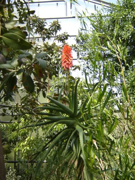 Tropenland Forum Botanischer Garten In Wurzburg