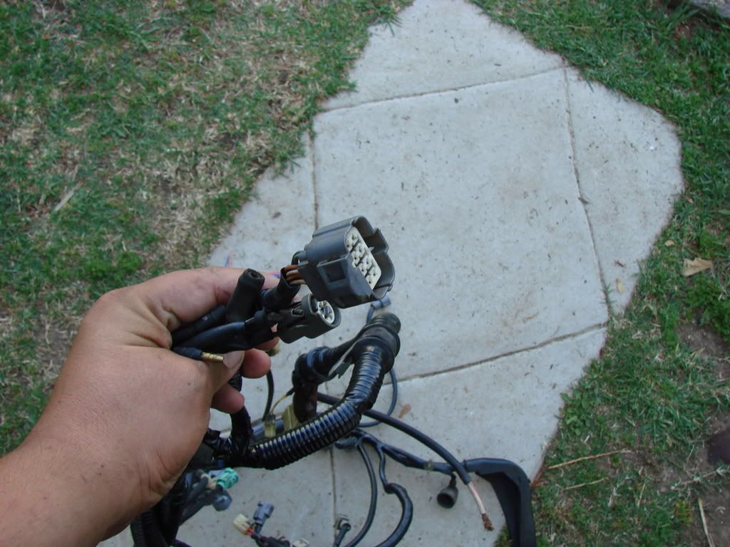 Rywire Harness - Honda Prelude Forum : Honda Prelude Forums