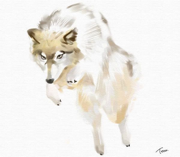 wolfdog_by_Teruchan.jpg wolfdog image by CCatLair