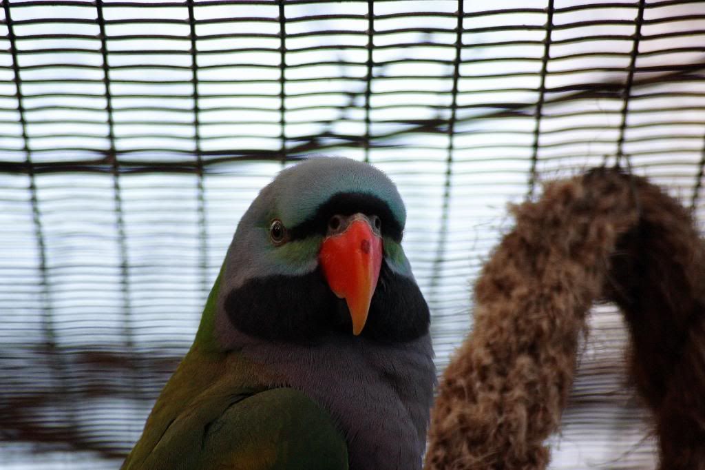 IMAGE: http://i58.photobucket.com/albums/g280/acmunro/Animals/CRW_1262.jpg