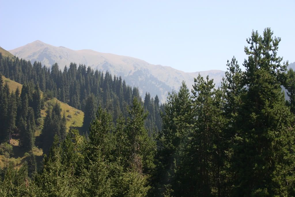 IMAGE: http://i58.photobucket.com/albums/g280/acmunro/Kazakhstan/mountains02-small.jpg