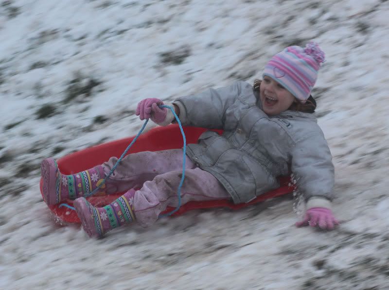 IMAGE: http://i58.photobucket.com/albums/g280/acmunro/family/Isabelsledging01.jpg
