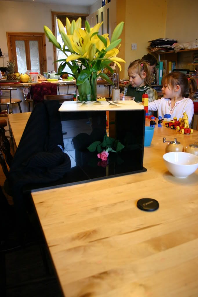 IMAGE: http://i58.photobucket.com/albums/g280/acmunro/flowers/IMG_8404.jpg