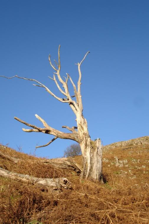 IMAGE: http://i58.photobucket.com/albums/g280/acmunro/landscapes/DSC02729.jpg