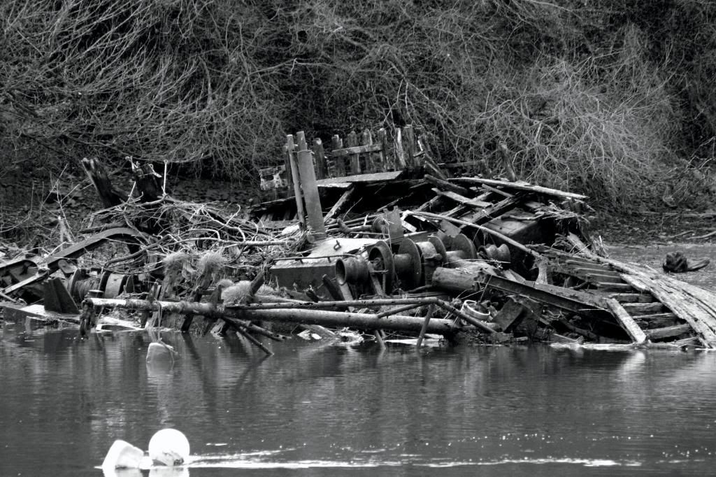 IMAGE: http://i58.photobucket.com/albums/g280/acmunro/stuff/boatwreck01.jpg