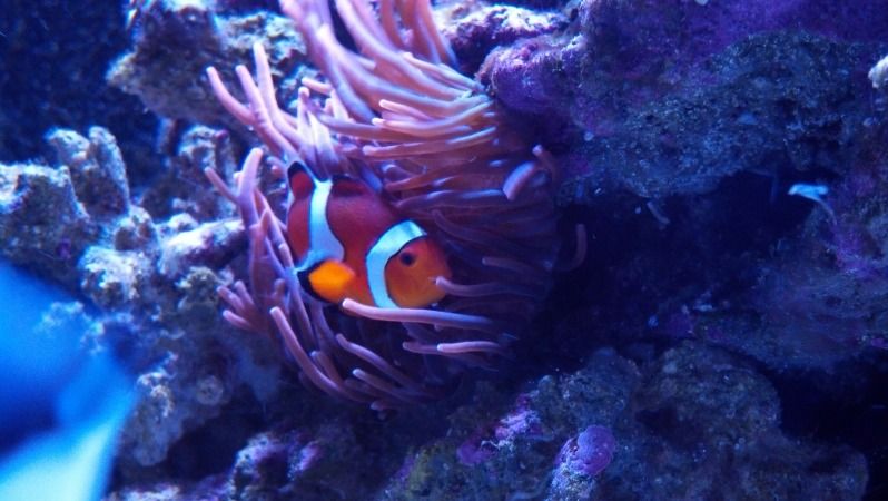 2012-09-08_08-51-07_142.jpg