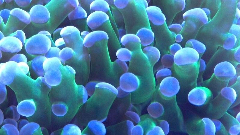 2012-09-08_08-52-39_472.jpg