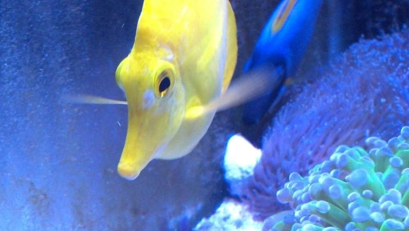 2012-09-08_08-52-56_888.jpg