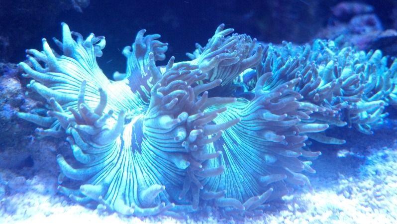 2012-09-08_08-54-20_178.jpg