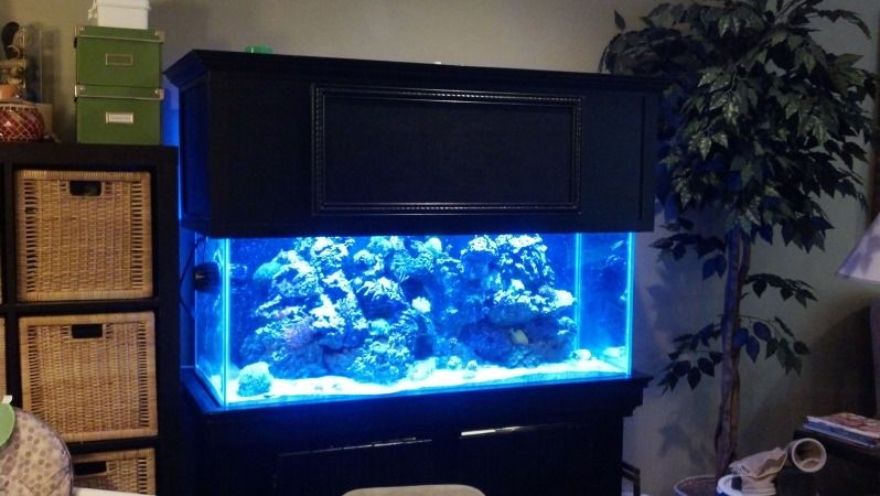 2012-09-29_10-20-26_633.jpg
