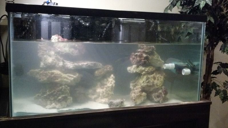 2012-10-31_01-37-23_524.jpg