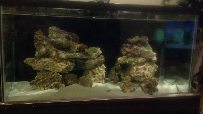 2012-11-02_07-07-02_27.jpg