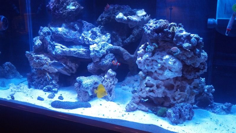 2012-11-08_17-50-51_902.jpg