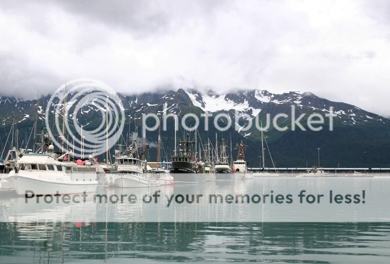 Harbor: Seward Pictures, Images and Photos