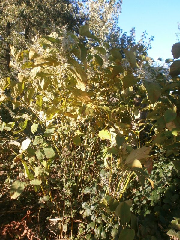 012-3.jpg