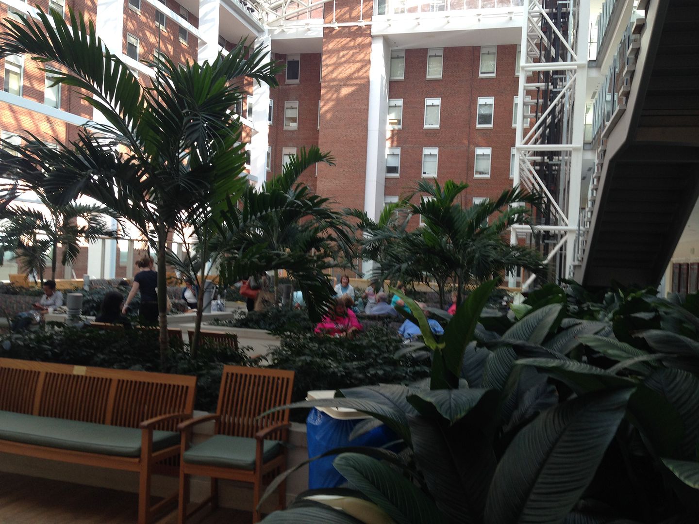 photo IMG_7064_zpsyfdmr9tl.jpg