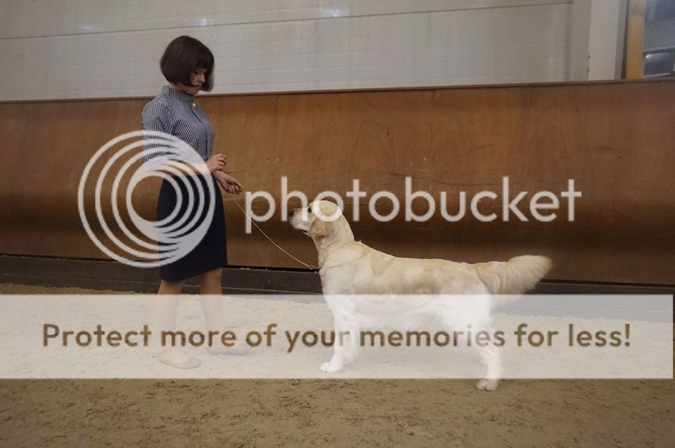 Photobucket - Video and Image Hosting