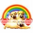 Puppies and Rainbows Pictures, Images and Photos