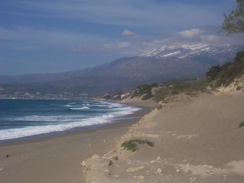 Posted Image